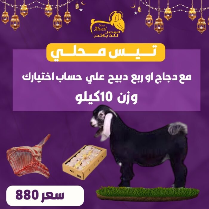 تيس محلي