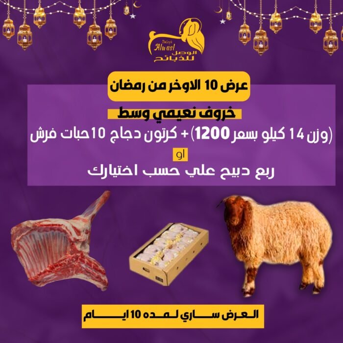خروف نعيمي وسط