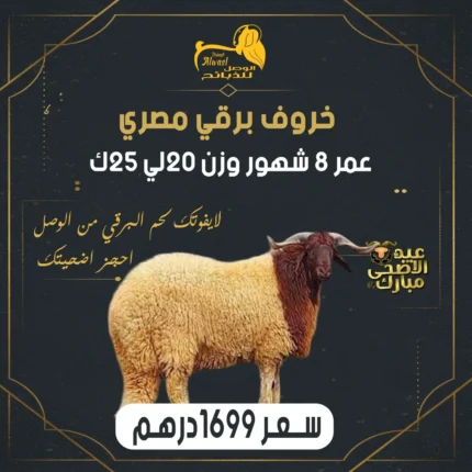 خروف برقي مصري