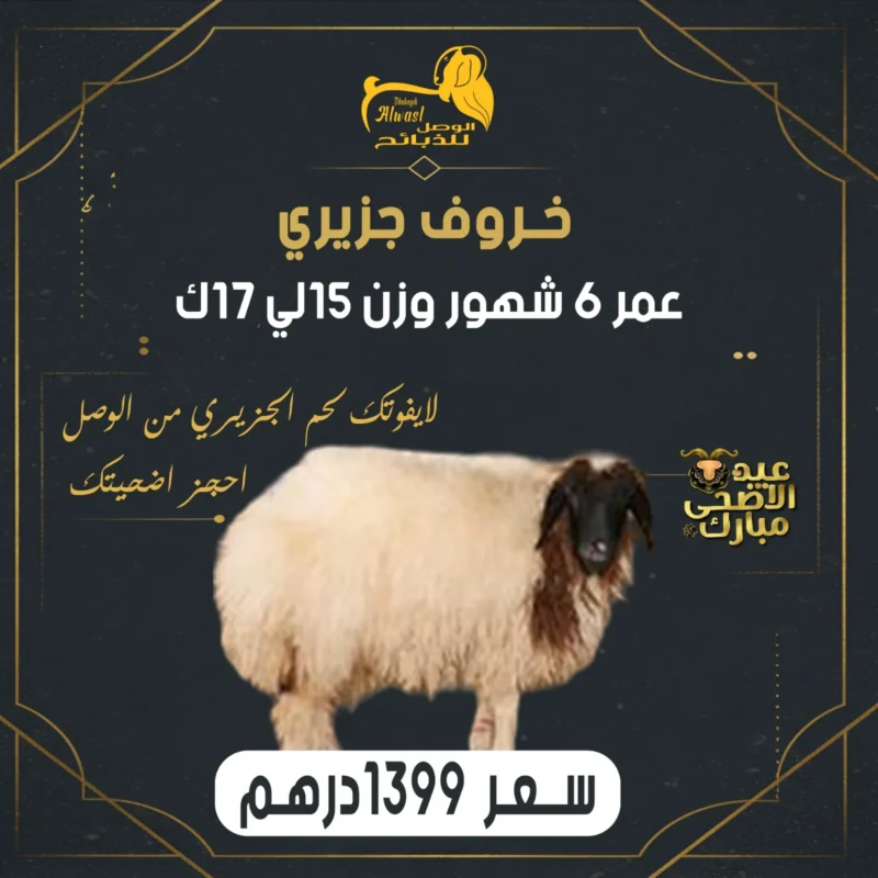 خروف جزيري