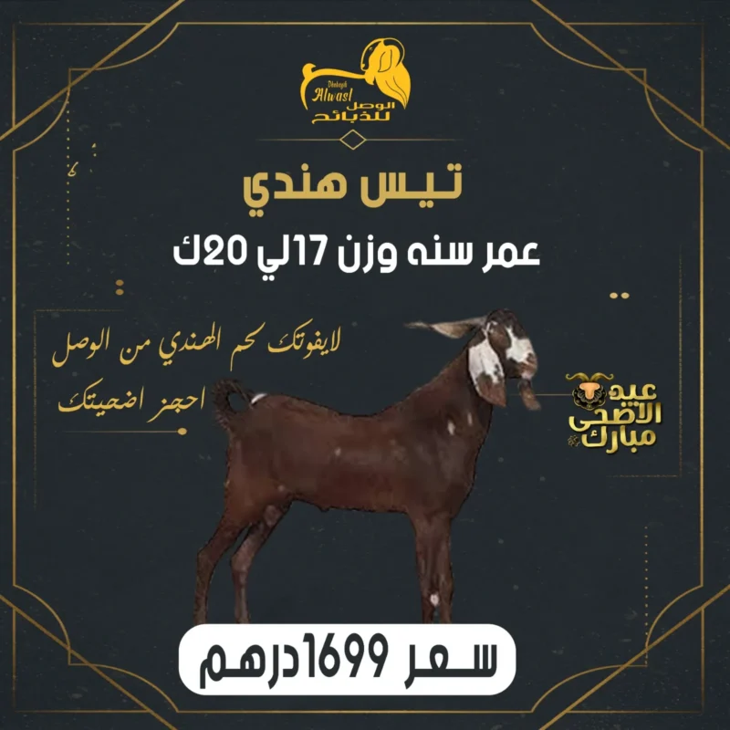 تيس هندي