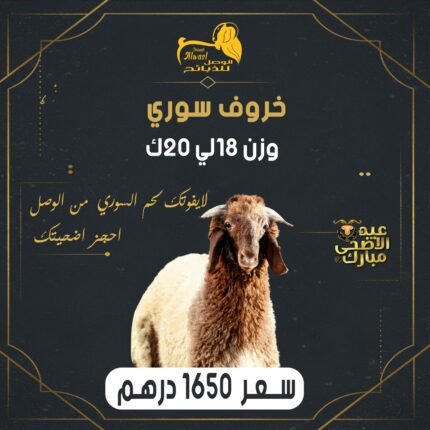 خروف سوري