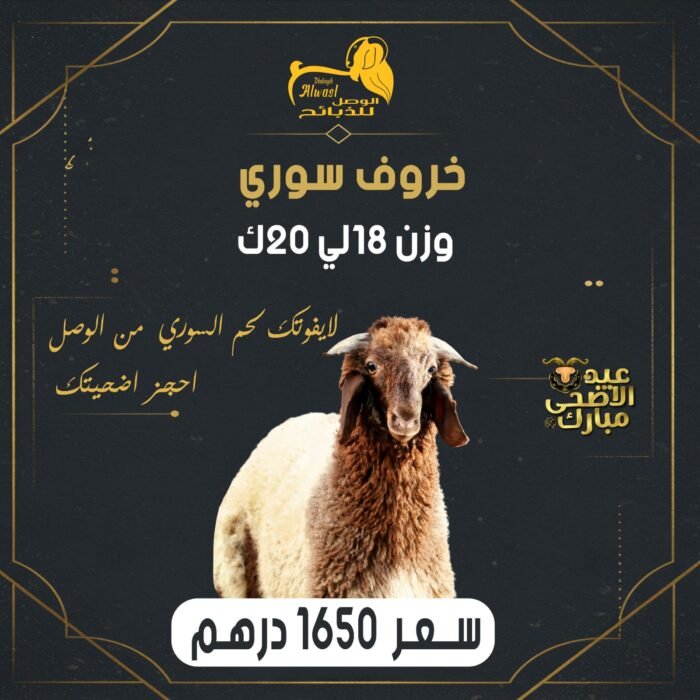 خروف سوري